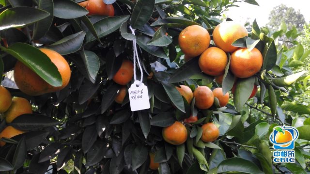 best365英国体育在线